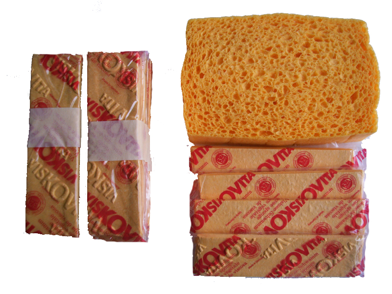 Sponge